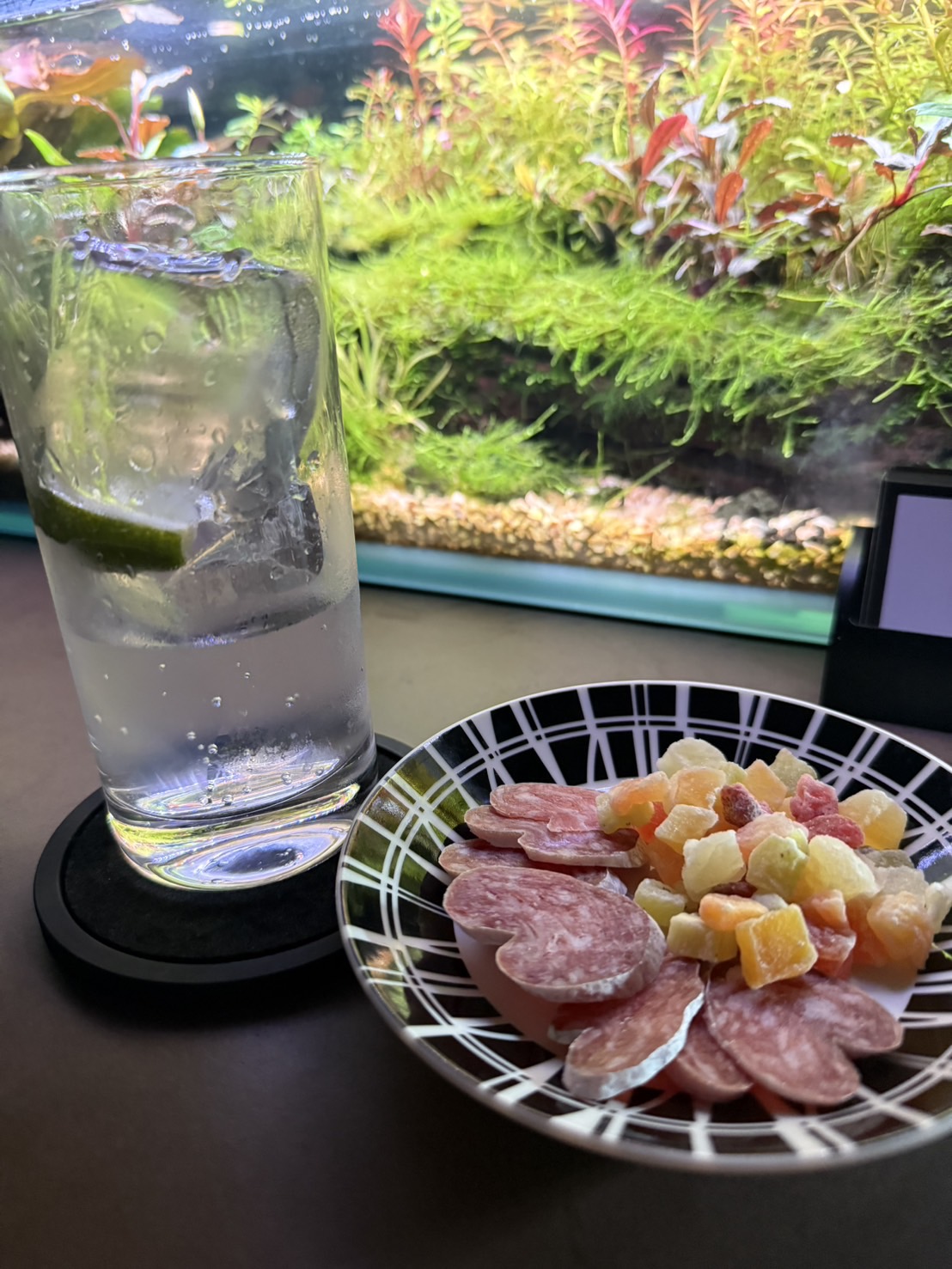 仕事帰りに癒されました🐠