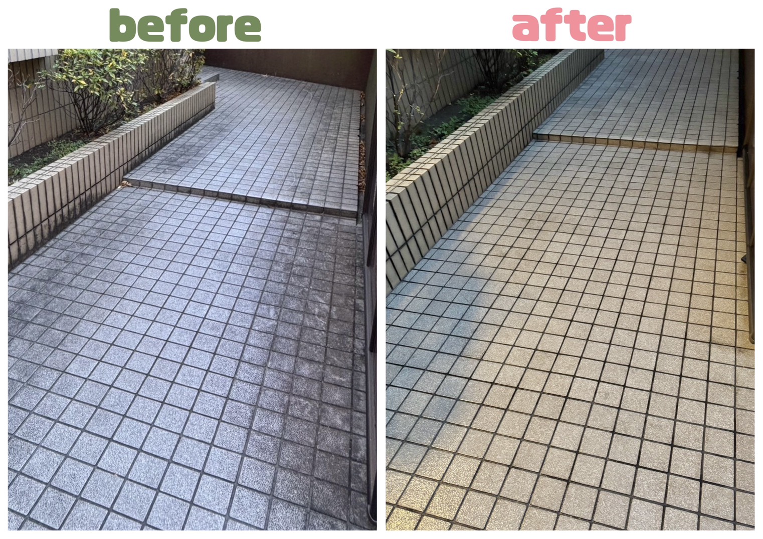 共用部の清掃を行いました🧹