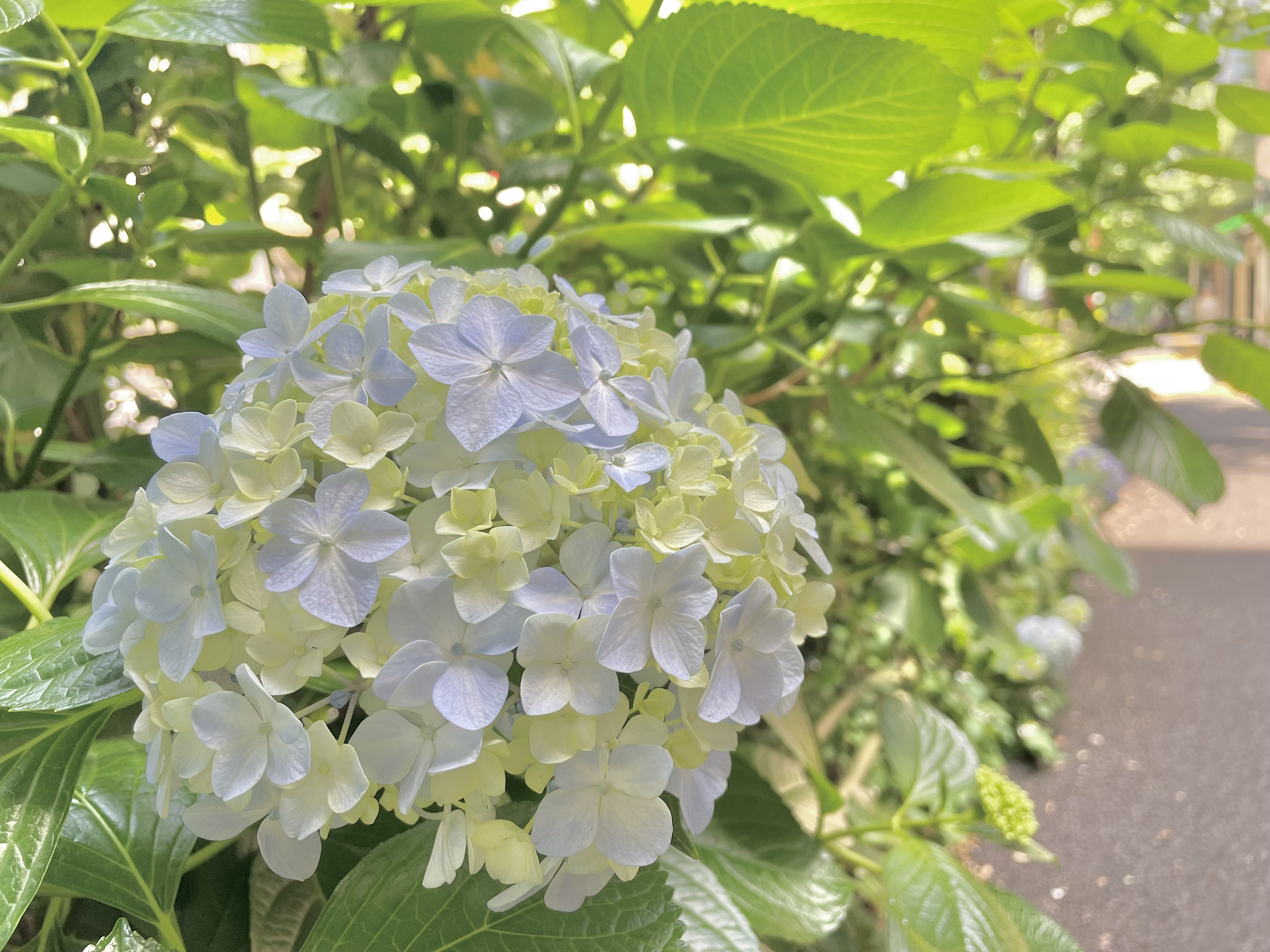 遂にやってきましたね…☔