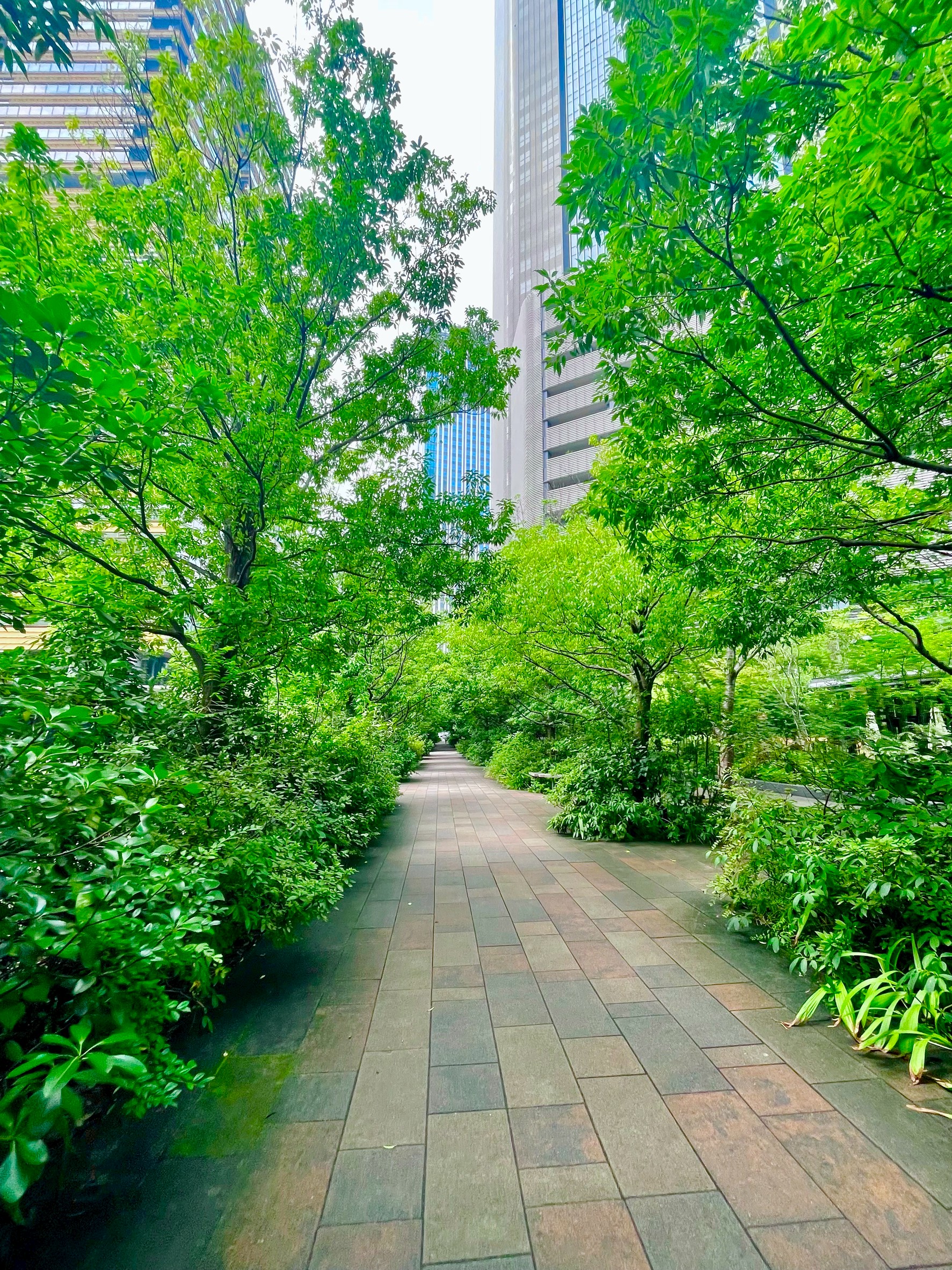 赤坂1丁目の再開発🏙️✨