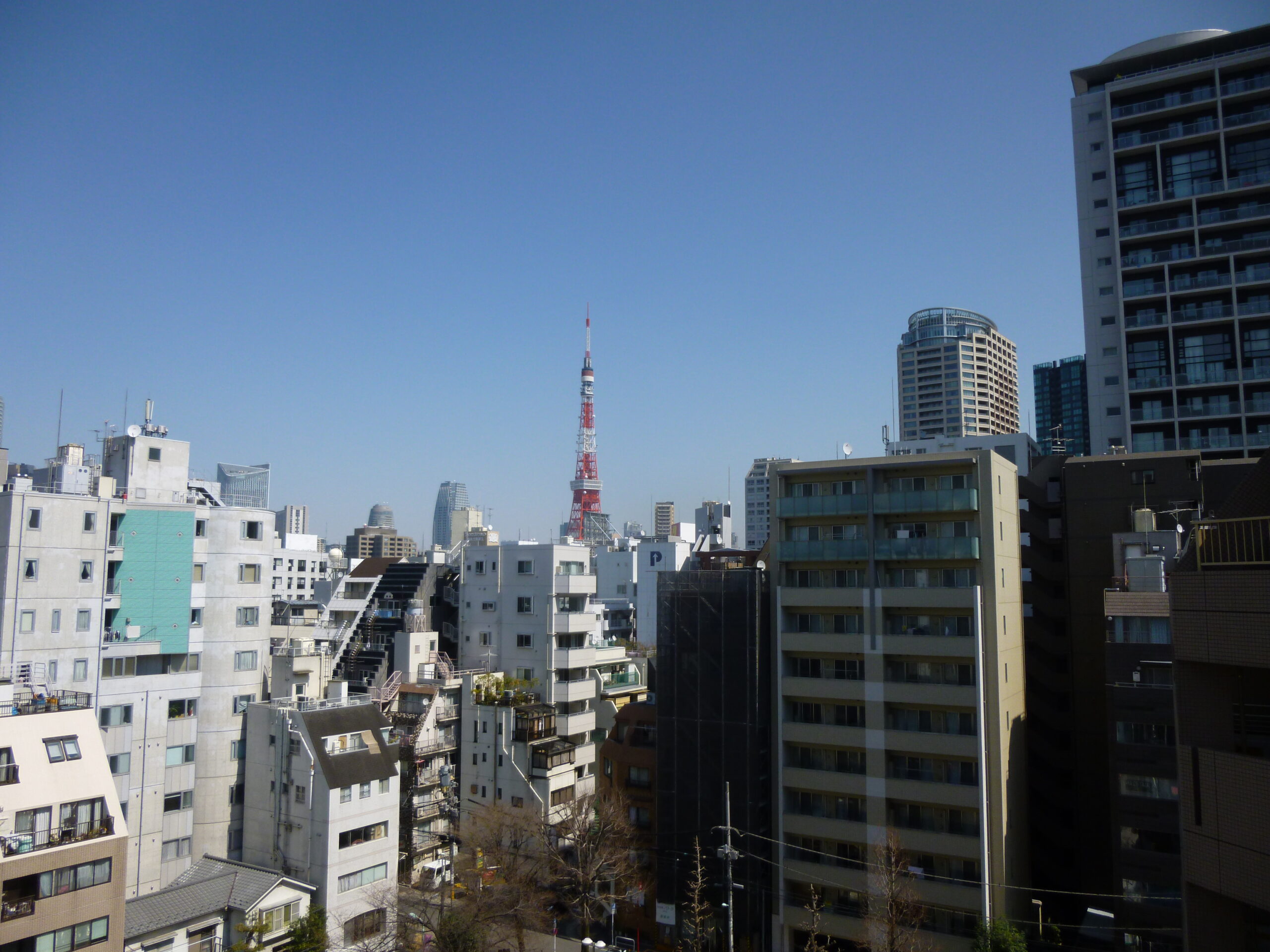 麻布十番のファミリー向け物件募集中🚩
