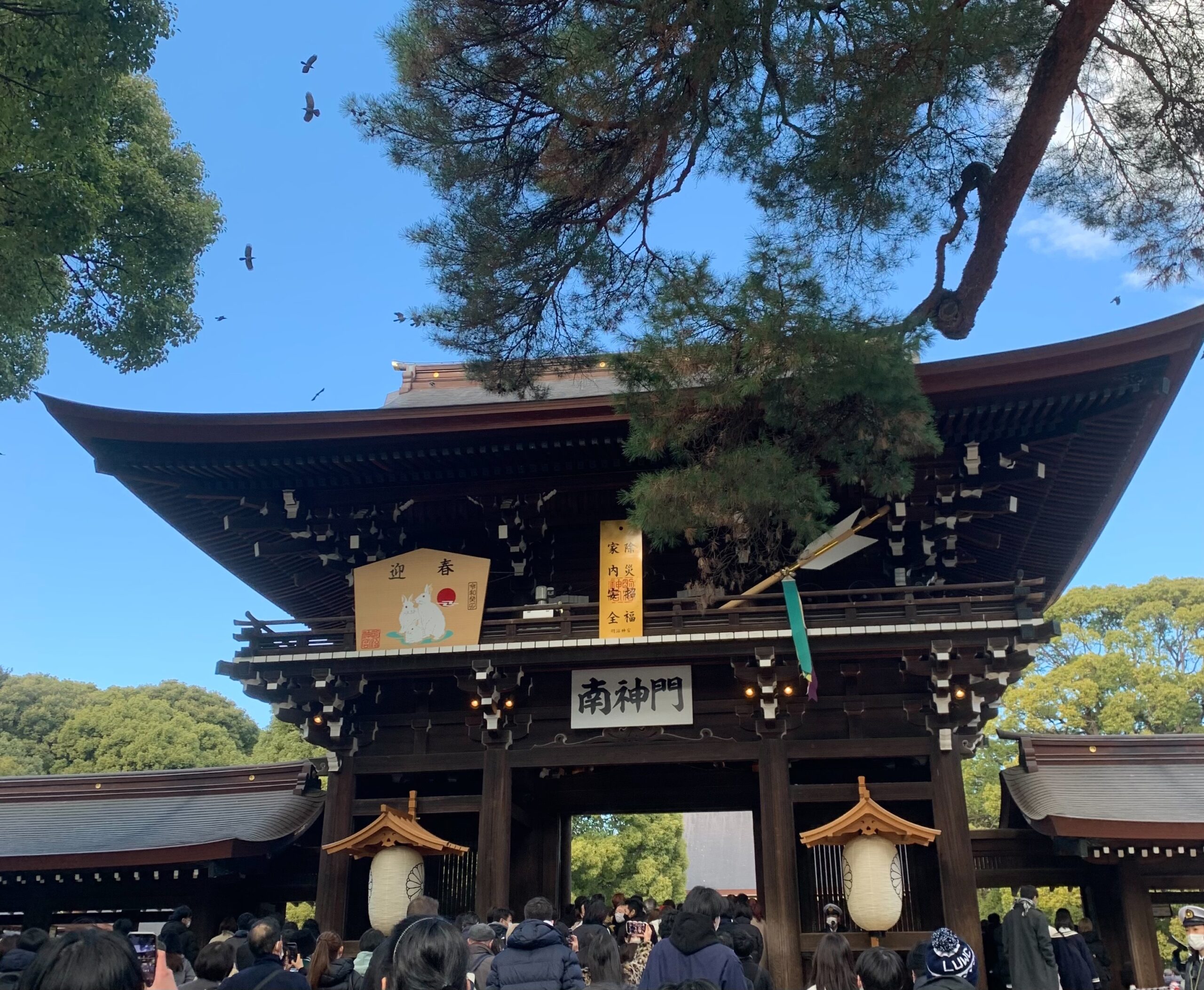 今年もよろしくお願い申し上げます!