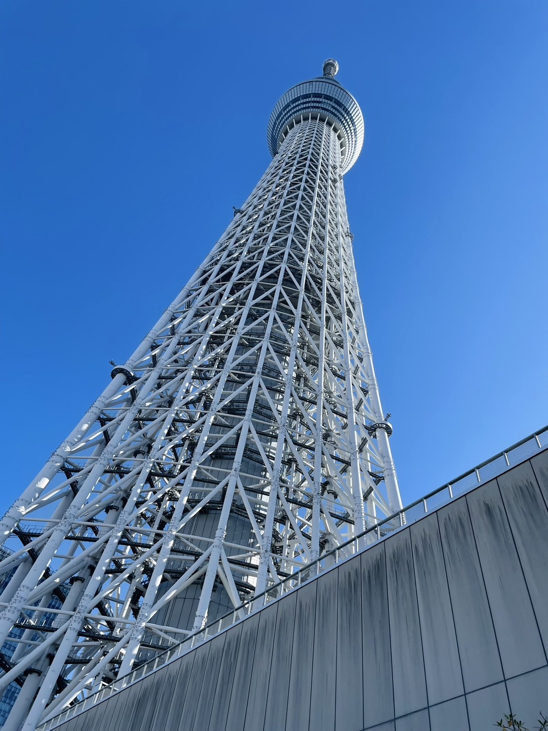 スカイツリーに登りました☃️