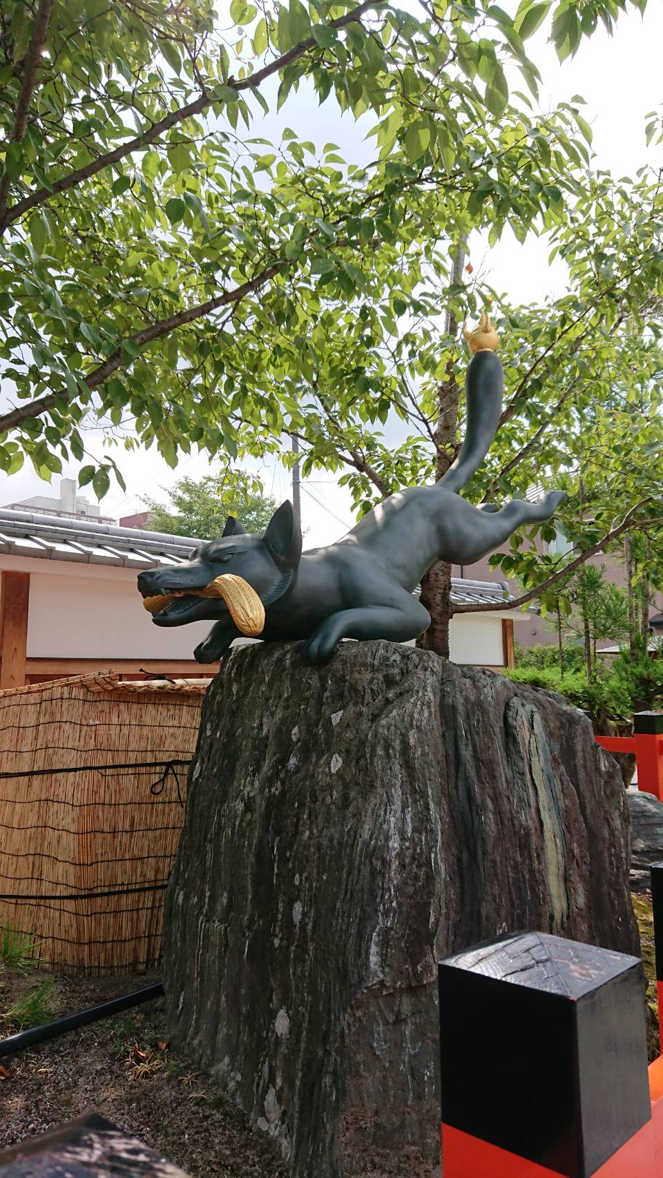 はじめまして！