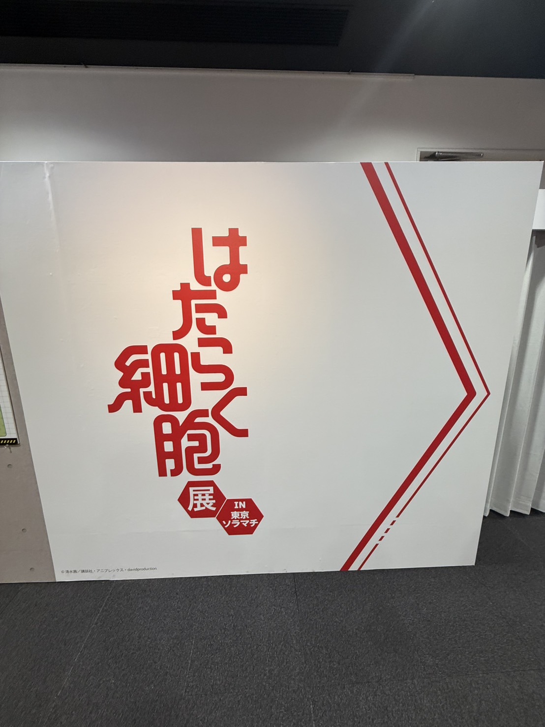 ソラマチの『はたらく細胞展』に行ってきました🦠