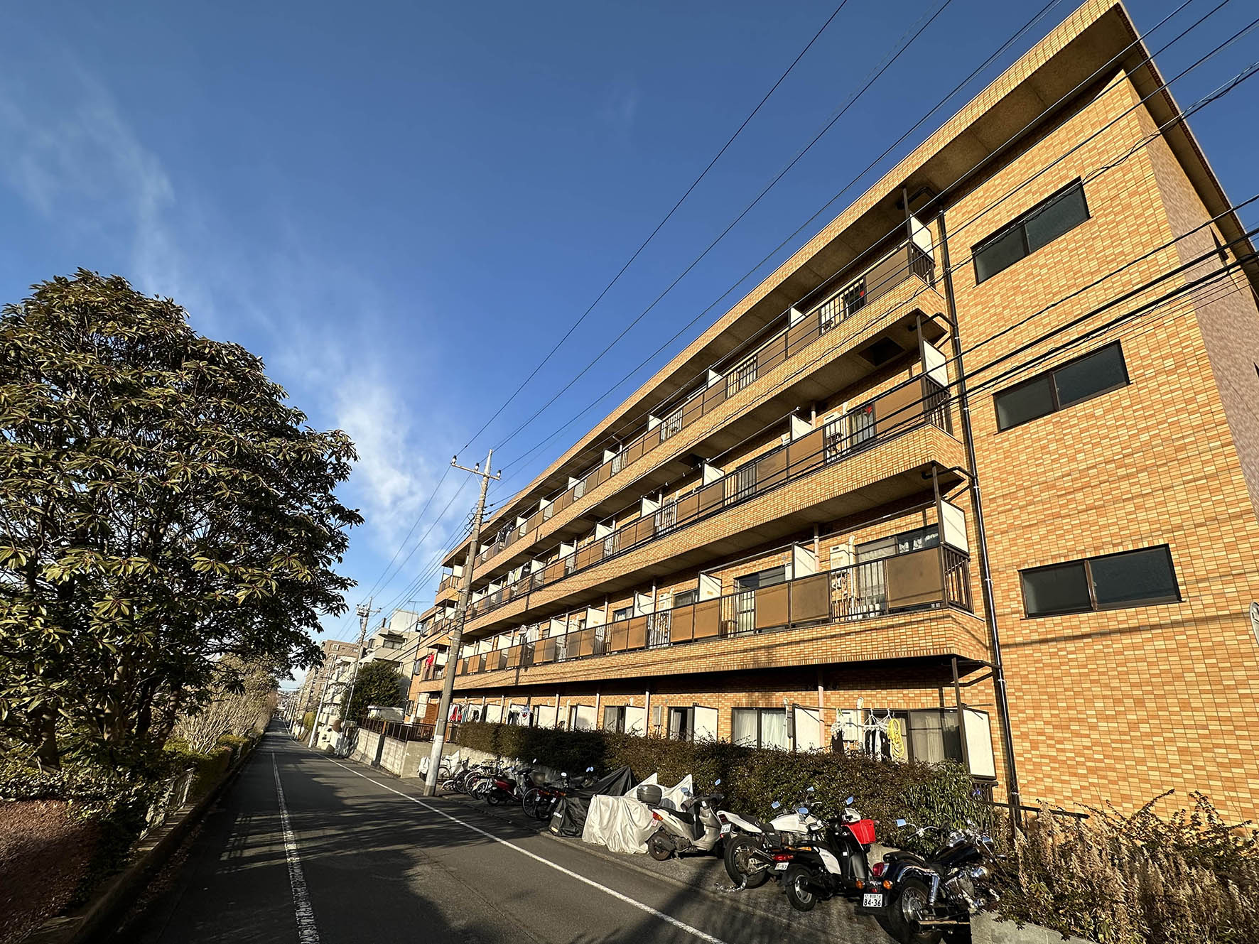 【物件情報】REN永山
