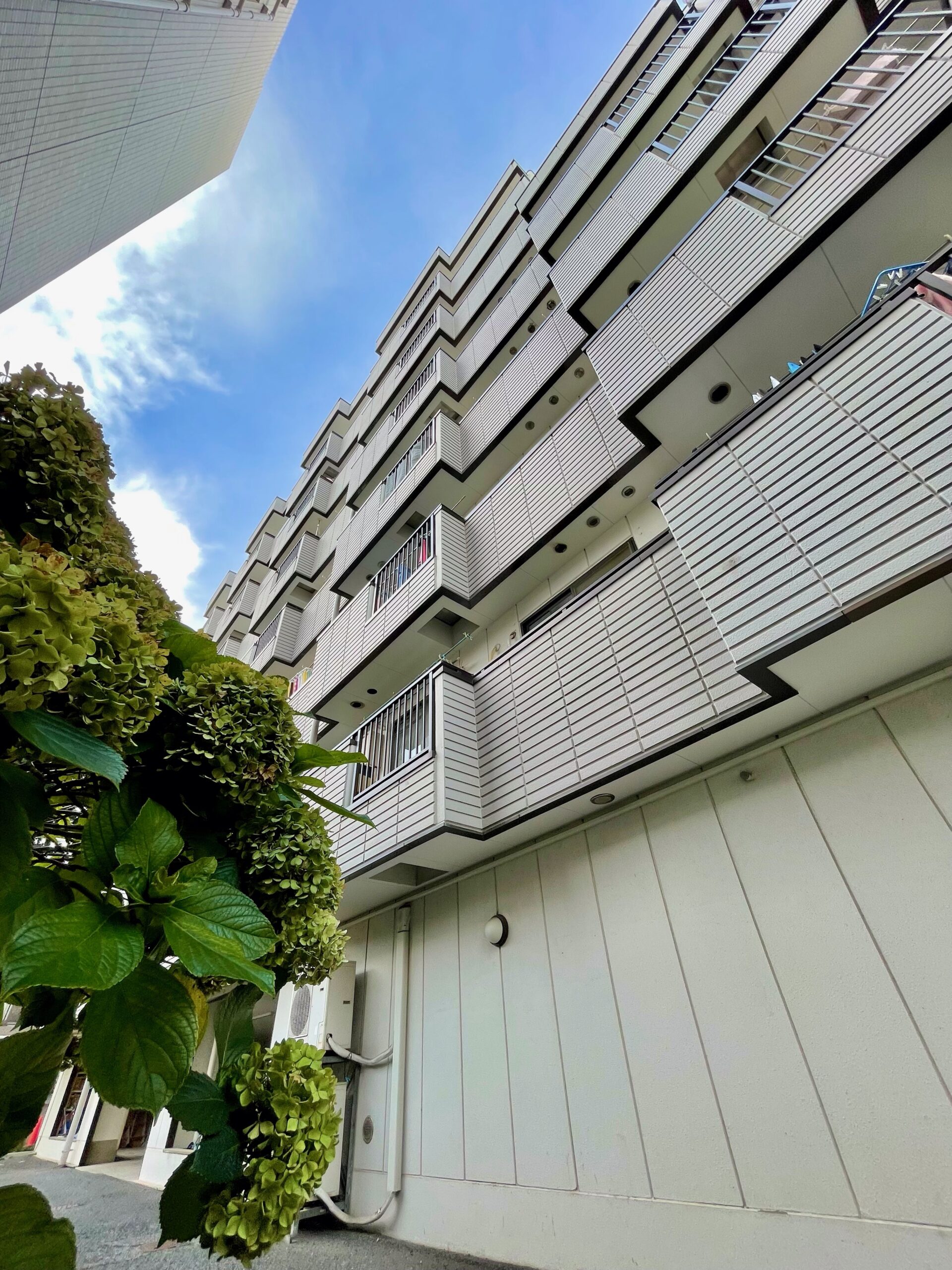 即入居可能💨リリーディア東武練馬